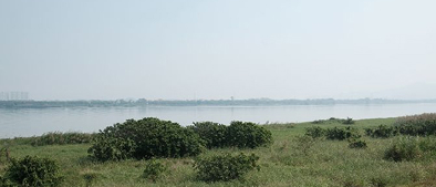 Sediment Sample