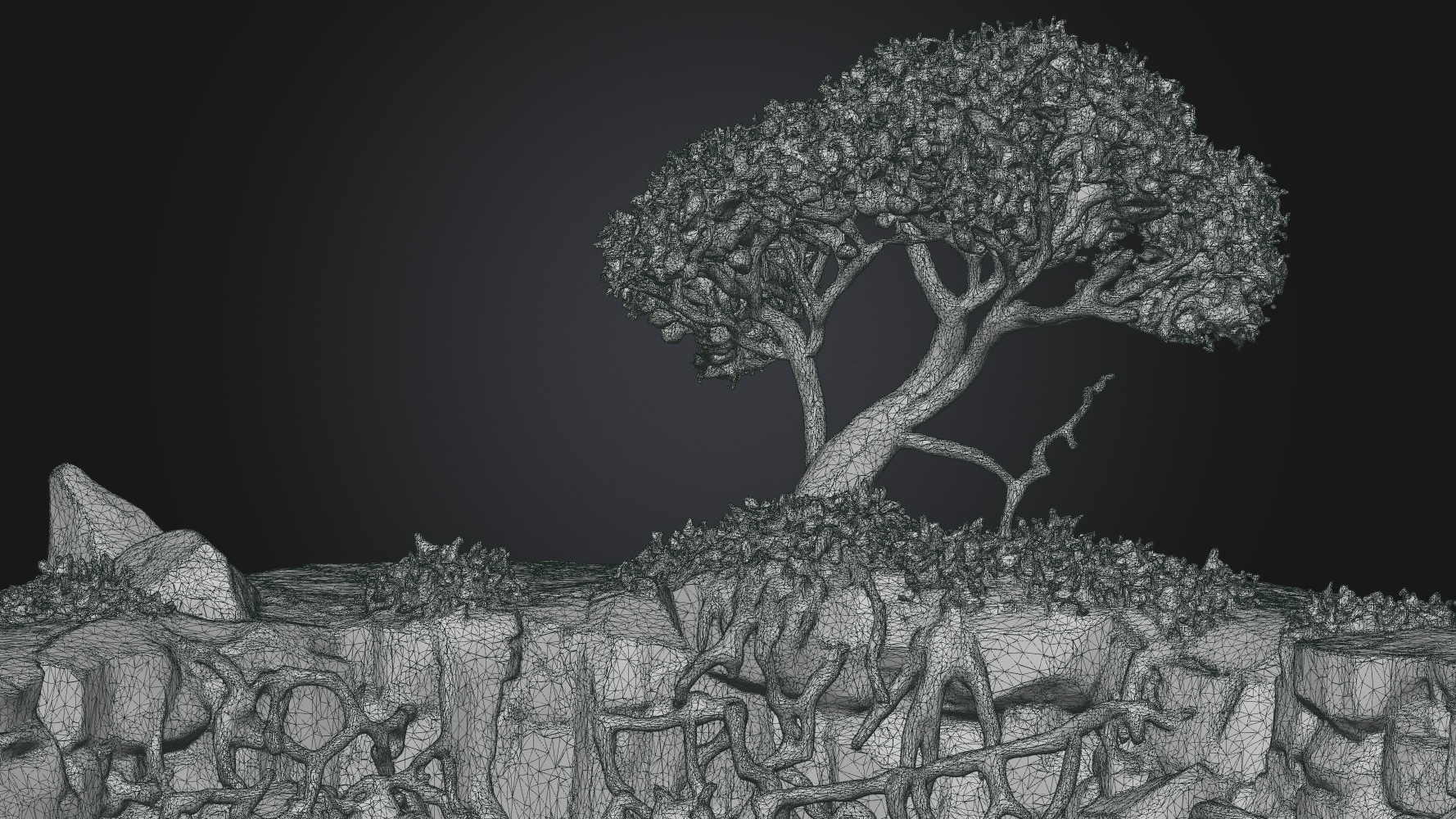 3D View 3