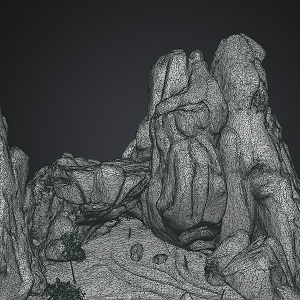Point Cloud Data