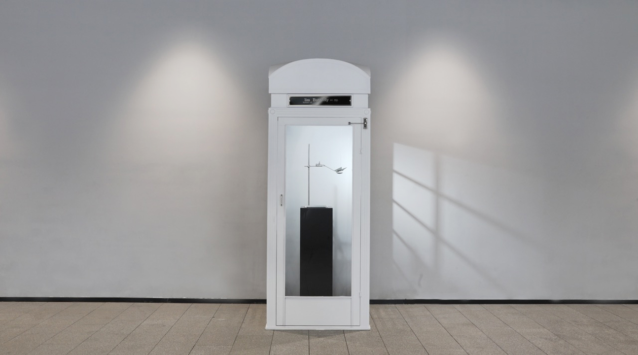 Full Installation View